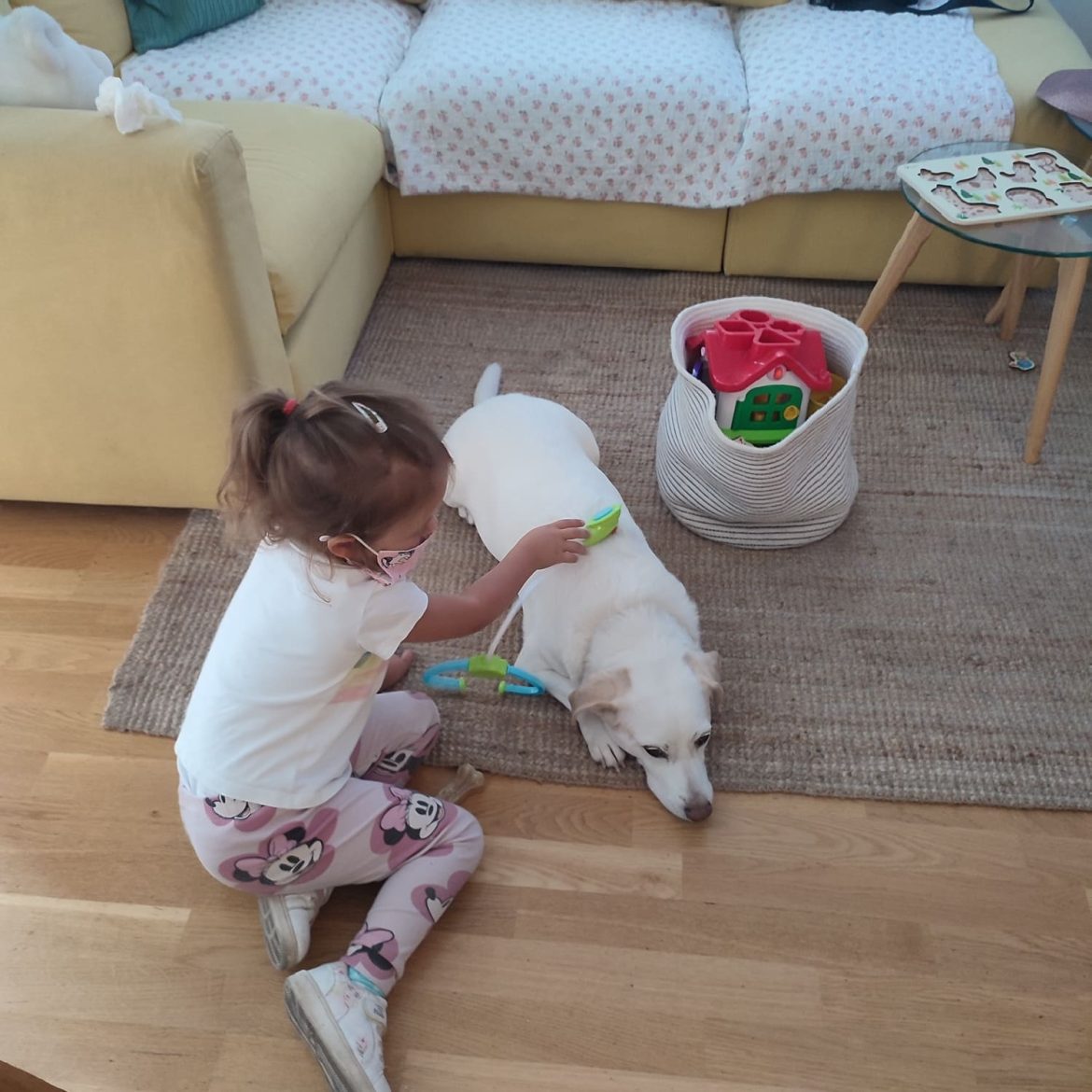 Kako odabrati igracku